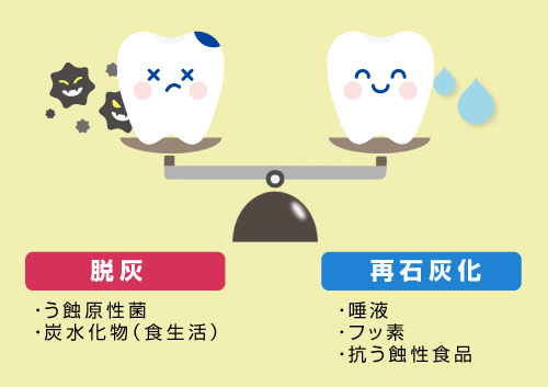 脱灰と再石灰化